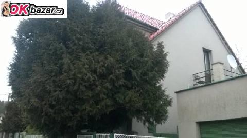 Nabizim pronajem bez realitky a kauce