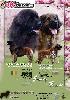 Leonberger steniatka s PP